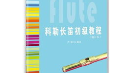 长笛入门教学视频,入门教学视频精华解析
